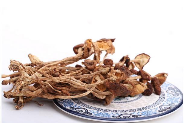 食品安全云助力贵福菌业 让百姓吃上“放心”茶树菇