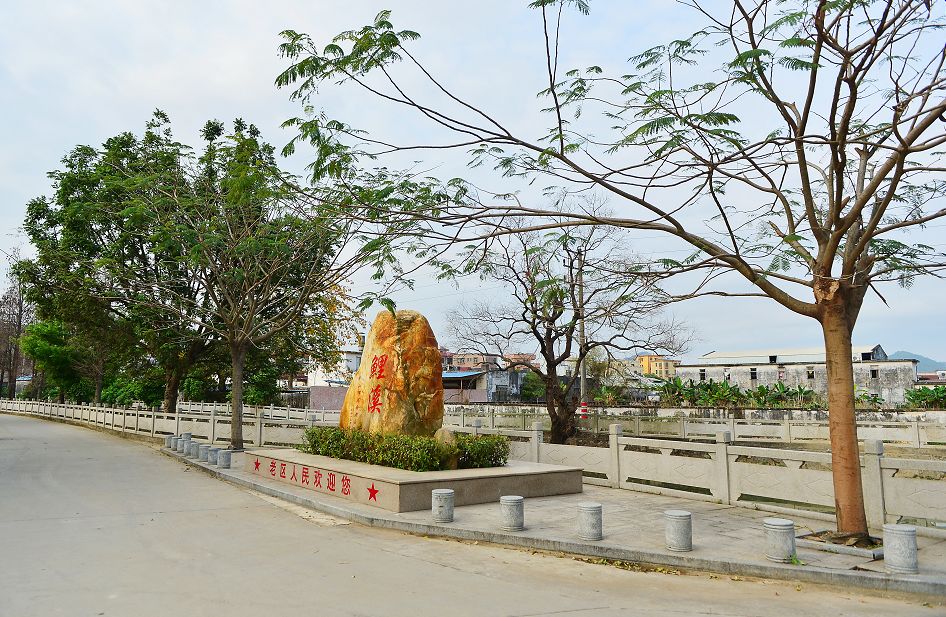 敢为天下先！广东省中山市有个小村落改革经验曾被全省学习