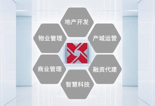 搭建生态化平台 地产混业时代的鑫苑路径 