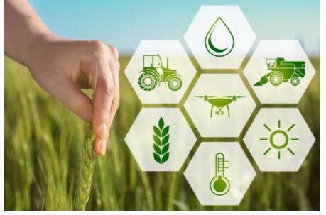 宝象金融：为乡村振兴注入活水，以合规资产推动普惠金融