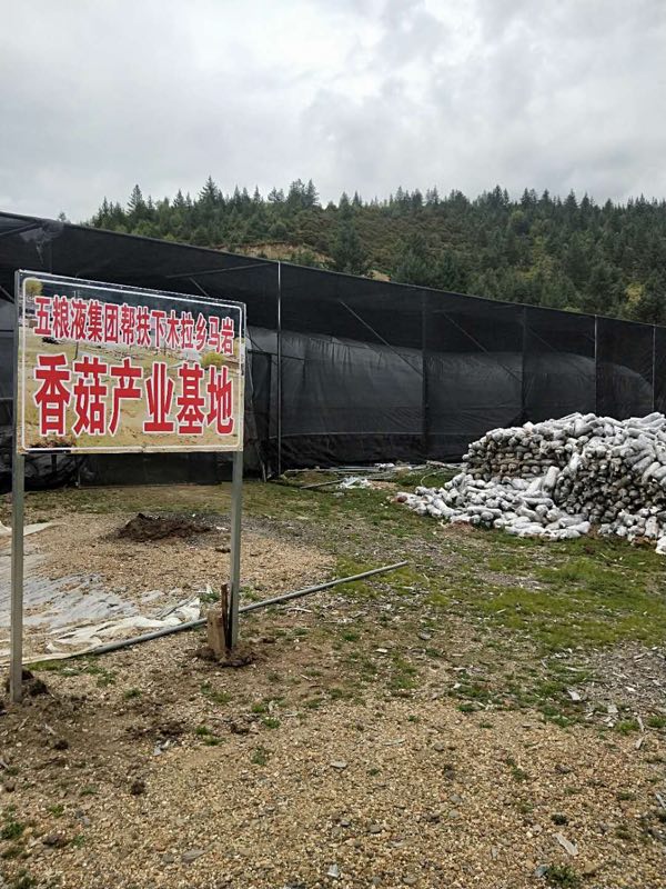 从脱贫攻坚的产业发展洞察五粮液帮扶村的农村“三变”改革