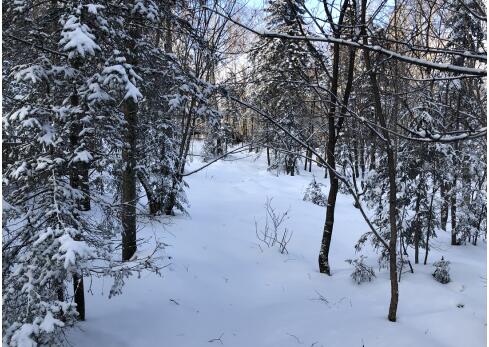 圣诞程序员寄雪藏DR钻戒求婚，结果雪化了…你永远不知道直男会送你什么礼物  