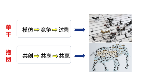卢俊卿：怎么让生意越来越好做——抱团