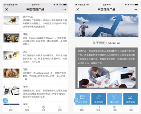 中国理财产品：信息化时代下的电商平台